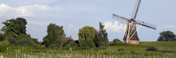 Nederlands landschap met molen